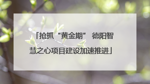 抢抓“黄金期” 德阳智慧之心项目建设加速推进