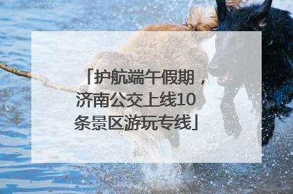 护航端午假期，济南公交上线10条景区游玩专线