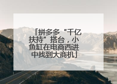 拼多多“千亿扶持”搭台，小鱼缸在电商西进中找到大商机