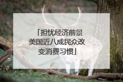担忧经济前景 美国近八成民众改变消费习惯