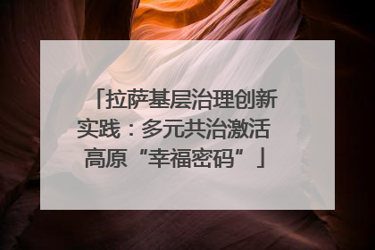 拉萨基层治理创新实践：多元共治激活高原“幸福密码”