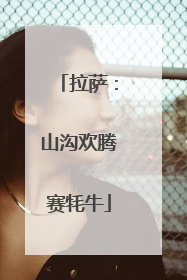 拉萨：山沟欢腾赛牦牛