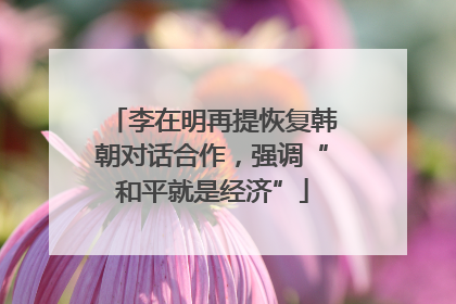 李在明再提恢复韩朝对话合作，强调“和平就是经济”