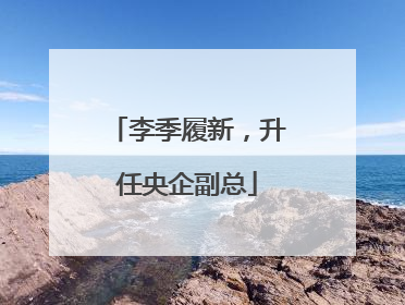 李季履新，升任央企副总