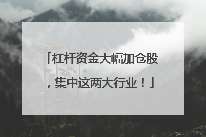 杠杆资金大幅加仓股，集中这两大行业！