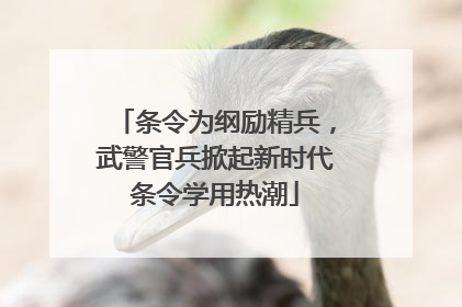 条令为纲励精兵，武警官兵掀起新时代条令学用热潮