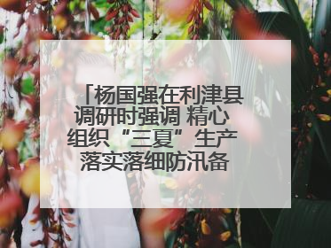 杨国强在利津县调研时强调 精心组织“三夏”生产 落实落细防汛备汛工作