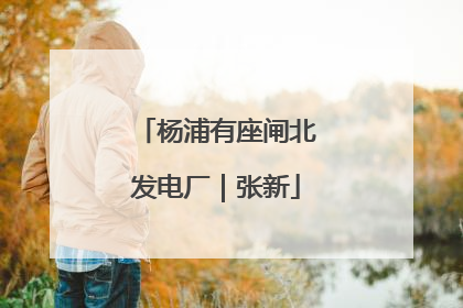 杨浦有座闸北发电厂｜张新