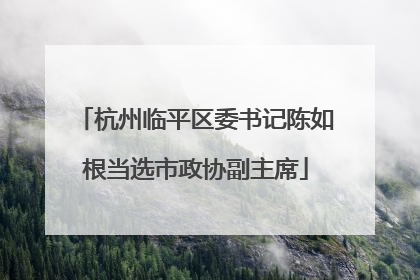 杭州临平区委书记陈如根当选市政协副主席