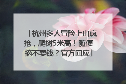 杭州多人冒险上山疯抢，爬树5米高！随便摘不要钱？官方回应