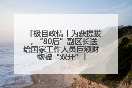 极目政情丨为获提拔，“80后”副区长送给国家工作人员巨额财物被“双开”