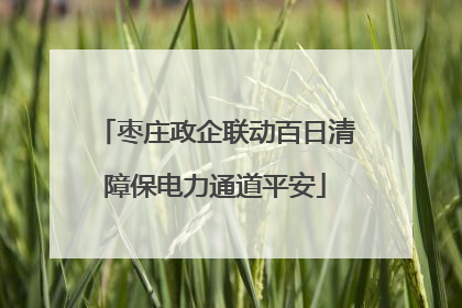枣庄政企联动百日清障保电力通道平安