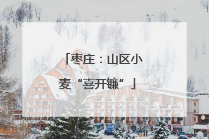 枣庄：山区小麦“喜开镰”