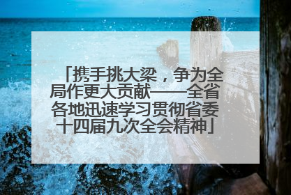 携手挑大梁，争为全局作更大贡献——全省各地迅速学习贯彻省委十四届九次全会精神