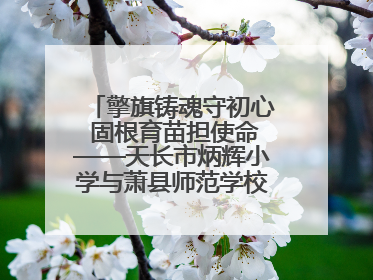 擎旗铸魂守初心 固根育苗担使命——天长市炳辉小学与萧县师范学校附属小学结对共建活动纪实