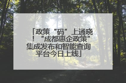 政策“码”上通晓！“成都惠企政策”集成发布和智能查询平台今日上线