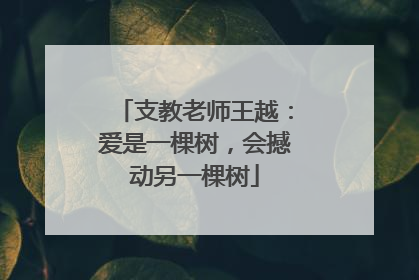 支教老师王越：爱是一棵树，会撼动另一棵树