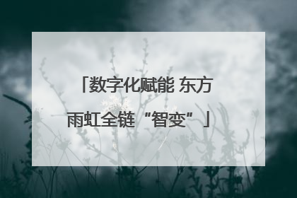 数字化赋能 东方雨虹全链“智变”