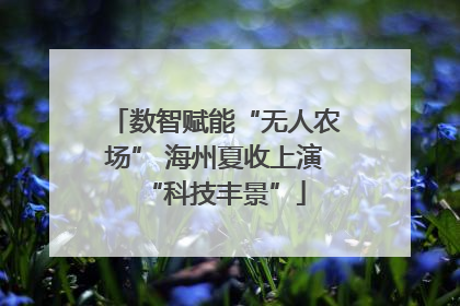 数智赋能“无人农场” 海州夏收上演“科技丰景”