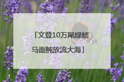 文登10万尾绿鳍马面鲀放流大海