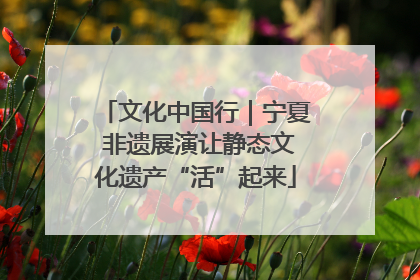 文化中国行｜宁夏 非遗展演让静态文化遗产“活”起来