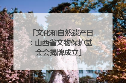 文化和自然遗产日：山西省文物保护基金会揭牌成立