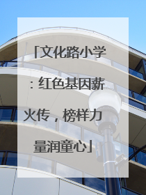 文化路小学：红色基因薪火传，榜样力量润童心