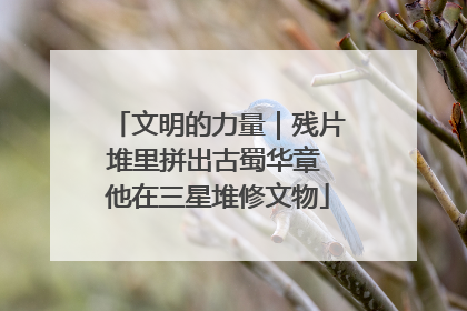 文明的力量｜残片堆里拼出古蜀华章 他在三星堆修文物