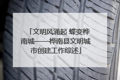 文明风涌起 蝶变桦南城——桦南县文明城市创建工作综述