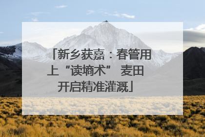新乡获嘉：春管用上“读墒术” 麦田开启精准灌溉