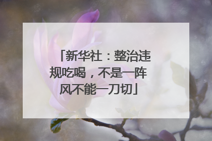 新华社：整治违规吃喝，不是一阵风不能一刀切