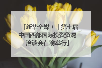 新华全媒＋丨第七届中国西部国际投资贸易洽谈会在渝举行