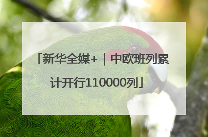 新华全媒+｜中欧班列累计开行110000列