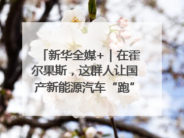 新华全媒+｜在霍尔果斯，这群人让国产新能源汽车“跑”向中亚(2)