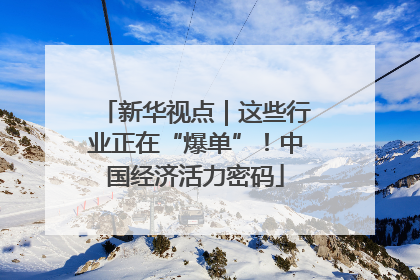 新华视点｜这些行业正在“爆单”！中国经济活力密码