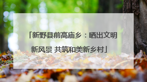 新野县前高庙乡：晒出文明新风景 共筑和美新乡村