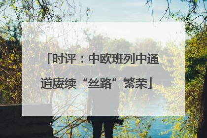 时评：中欧班列中通道赓续“丝路”繁荣