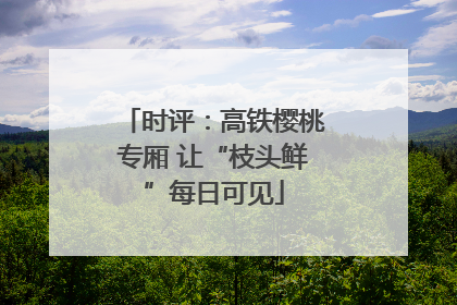 时评：高铁樱桃专厢 让“枝头鲜”每日可见