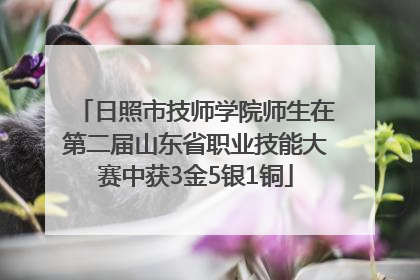 日照市技师学院师生在第二届山东省职业技能大赛中获3金5银1铜