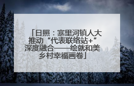 日照：寨里河镇人大推动“代表联络站+”深度融合——绘就和美乡村幸福画卷