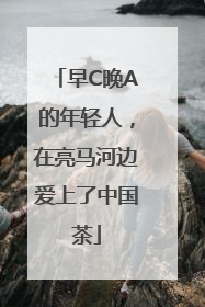 早C晚A的年轻人，在亮马河边爱上了中国茶