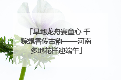 旱地龙舟赛童心 千粽飘香传古韵——河南多地花样迎端午