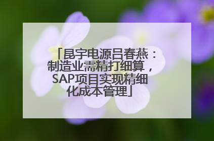 昆宇电源吕春燕：制造业需精打细算，SAP项目实现精细化成本管理