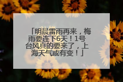 明晨雷雨再来，梅雨要连下6天！1号台风真的要来了，上海天气或有变！