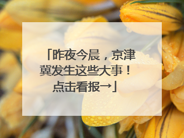 昨夜今晨，京津冀发生这些大事！点击看报→