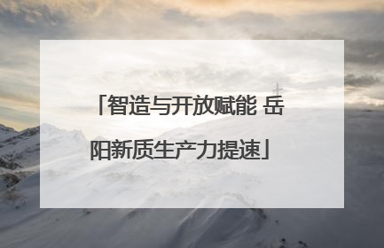 智造与开放赋能 岳阳新质生产力提速