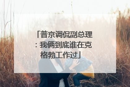 普京调侃副总理：我俩到底谁在克格勃工作过