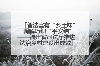 普法富有“乡土味” 调解巧织“平安结”——福建省司法厅推进法治乡村建设出成效