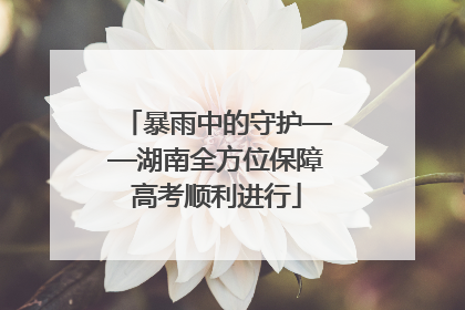 暴雨中的守护——湖南全方位保障高考顺利进行