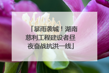 暴雨袭城！湖南慈利工程建设者昼夜奋战抗洪一线